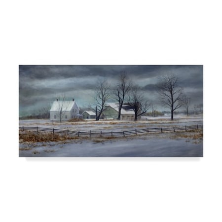 John Morrow 'Winter Gray ' Canvas Art,10x19